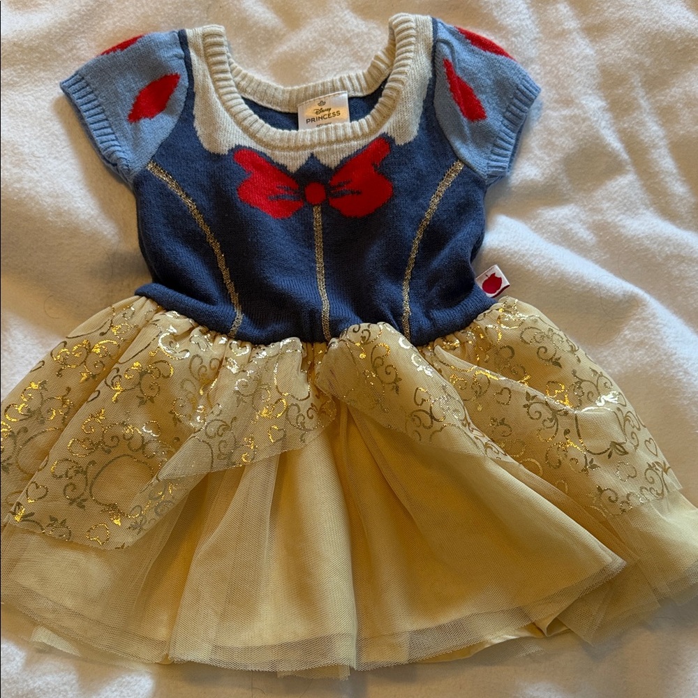 Disney Princess Cream and Blue Dress
